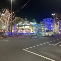 My placement area in Japan